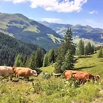 Am Zwoelferkogel