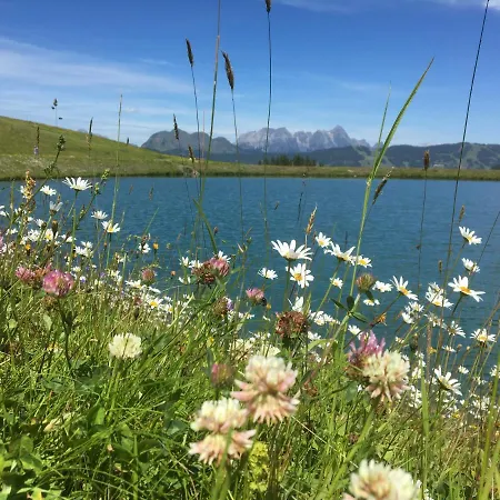 Am Zwoelferkogel 公寓式酒店