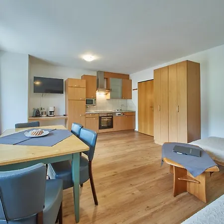 公寓式酒店 Am Zwoelferkogel 萨尔巴赫