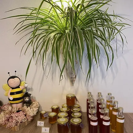 公寓式酒店 Am Zwoelferkogel 2*