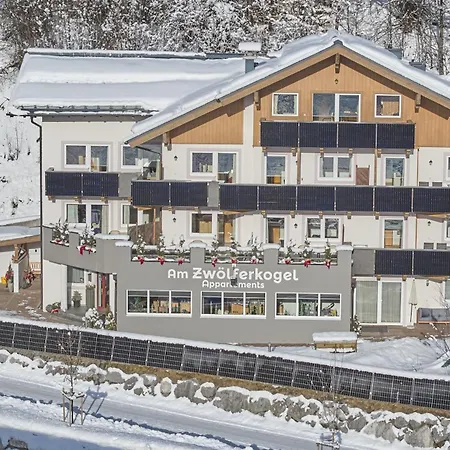 公寓式酒店 Am Zwoelferkogel 萨尔巴赫