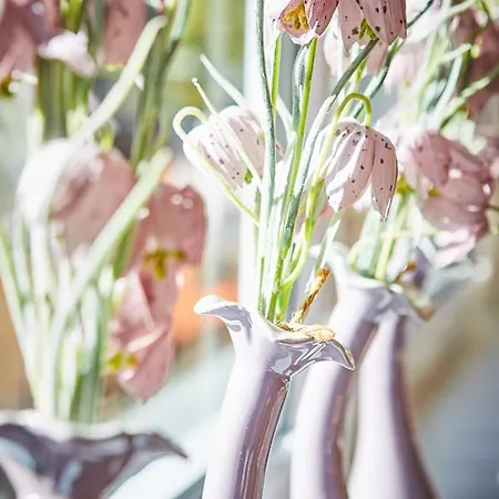 Am Zwoelferkogel 2* 萨尔巴赫