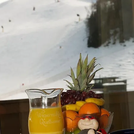 Am Zwoelferkogel 萨尔巴赫