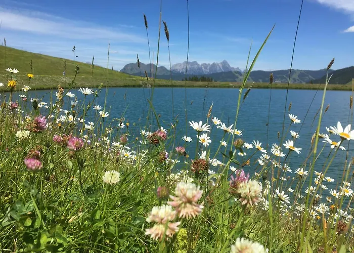Am Zwoelferkogel Lejlighedshotel