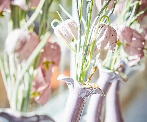 Am Zwoelferkogel 2* Saalbach-Hinterglemm