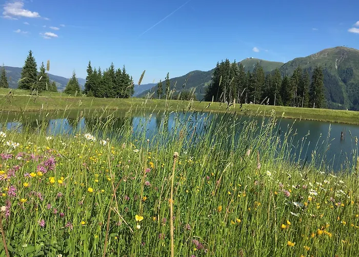 Am Zwoelferkogel Lejlighedshotel Saalbach-Hinterglemm