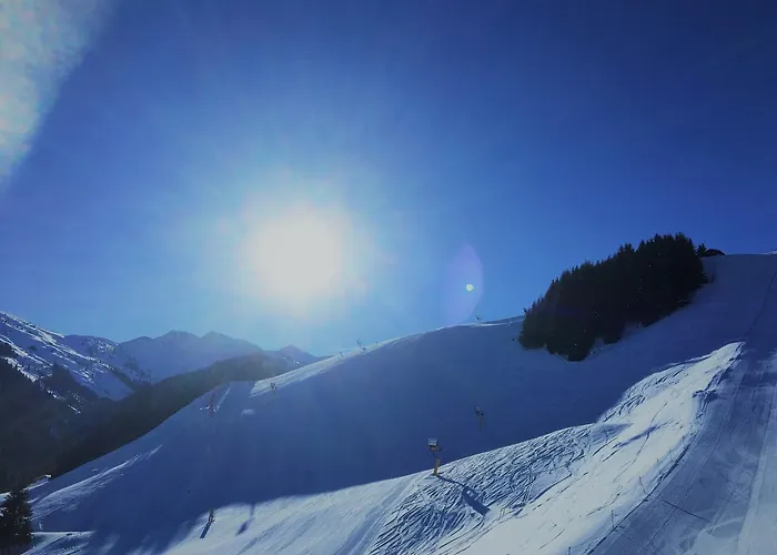 Am Zwoelferkogel Lejlighedshotel Saalbach-Hinterglemm
