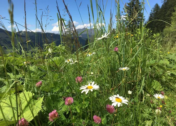 Am Zwoelferkogel Lejlighedshotel Saalbach-Hinterglemm