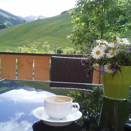 Am Zwoelferkogel Saalbach-Hinterglemm