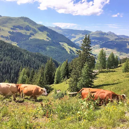 Am Zwölferkogel
