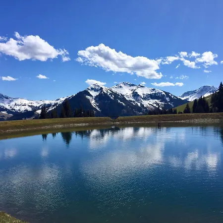 Am Zwoelferkogel Hotel apartamentowy Saalbach-Hinterglemm