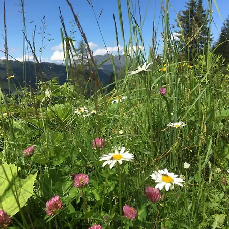 Am Zwoelferkogel Aparthotel Saalbach-Hinterglemm