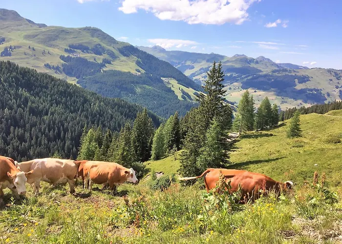 Am Zwoelferkogel